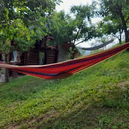 Holiday home Din Revier Viseu de Jos
